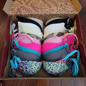 Assorted Women's Bras with Bright Pink Lace Highlight